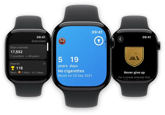 Vidlik on Apple Watch: the overview, a counter and an award