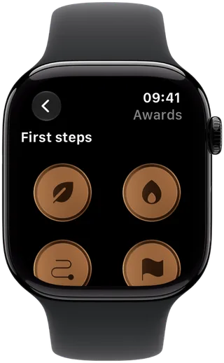 Vidlik on Apple Watch: awards