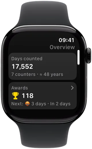 Vidlik on Apple Watch: the Overview summary